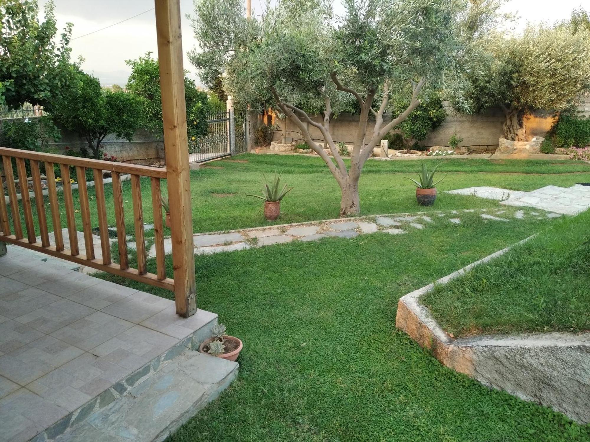 Garden House-Free Transfer From Airport Villa Artemida  Exterior photo